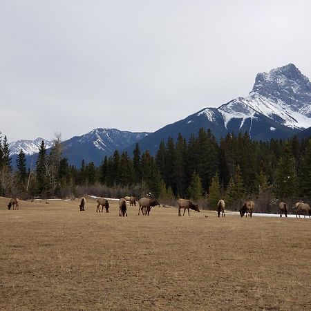Enchanted Mountain Getaway Canmore Exteriér fotografie